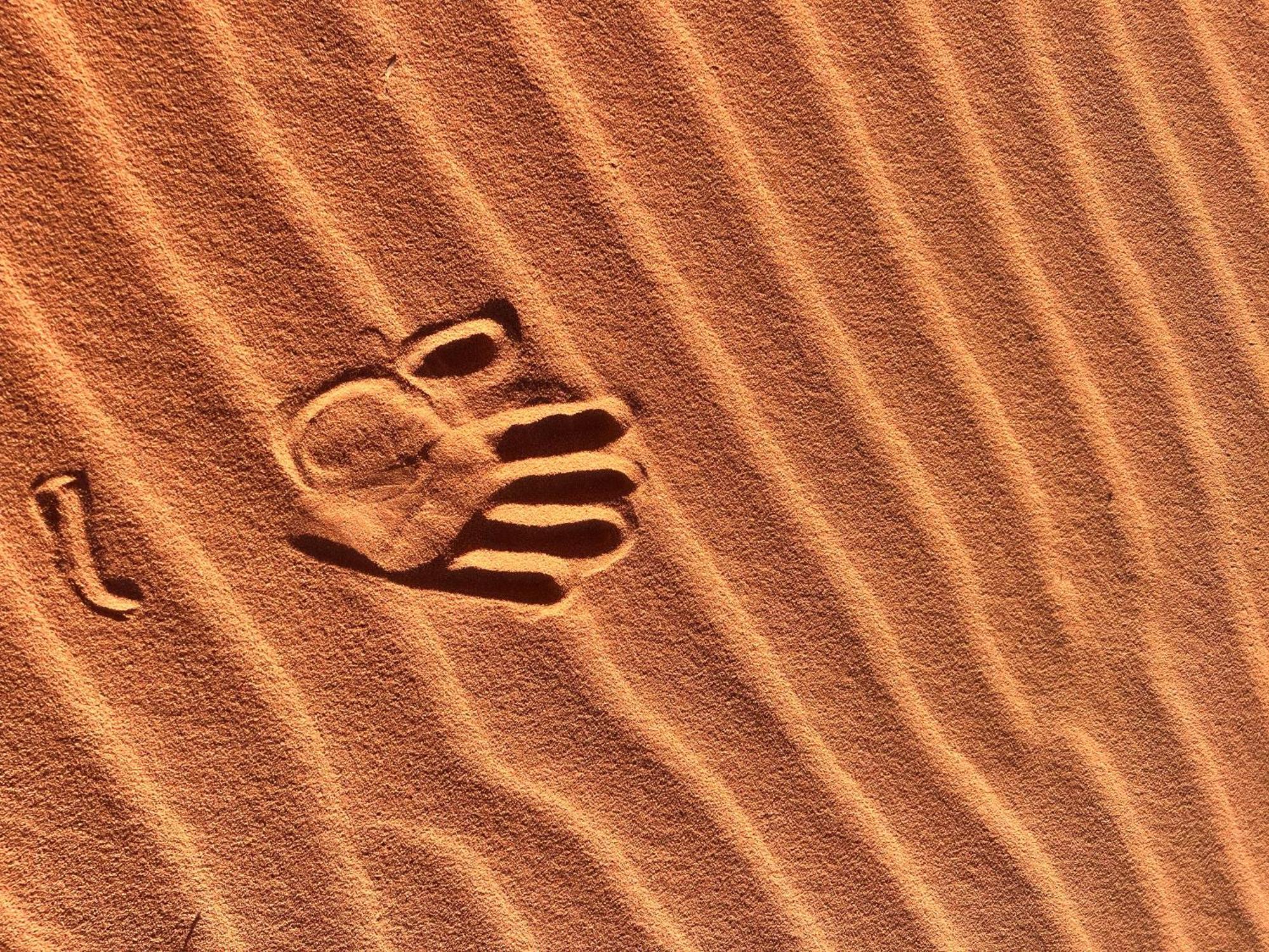 Wadi Rum Trip Ngoại thất bức ảnh
